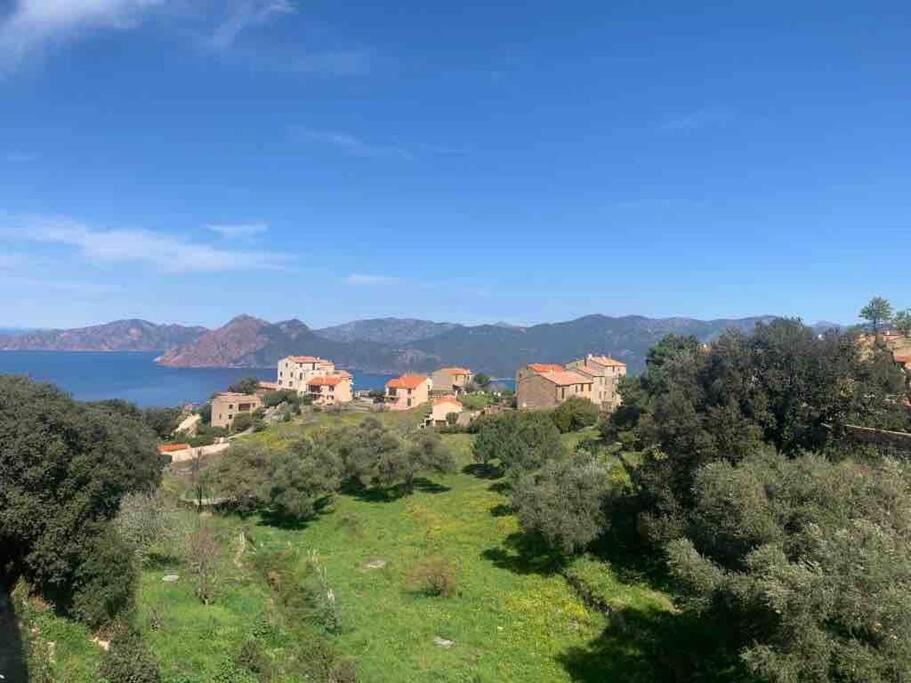 פיאנה Appartement De Standing Piana מראה חיצוני תמונה